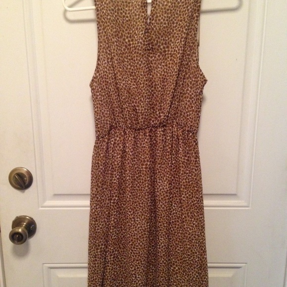 H&M Women's  US 4 Animal Print Beige Brown Dress‎ - Picture 6 of 7